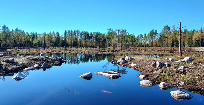 Kuva kosteikosta, etualalla vettä ja lohkareita, taustalla erilaisia maa-aineksesta tehtyjä rakenteita, ja taaimmaisena metsää.