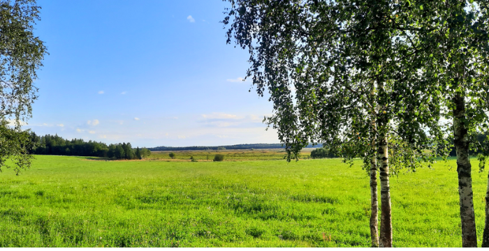 Maisemakuva, edessä lehtipuita, taustalla niittyä ja Puurijärven aluetta.