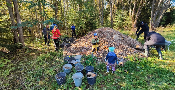 Kivikasa, jonka ympärillä monenikäisiä ihmisiä ja kivillä täytettyjä sankoja.