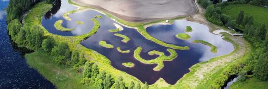 <? the_title(); ?> - KVVY