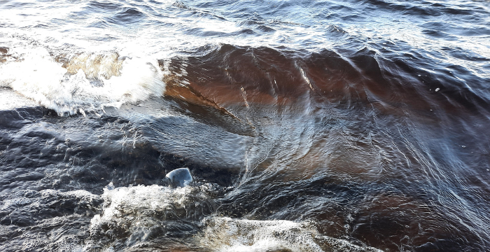 Tummahkon järviveden kuohuntaa lähietäisyydeltä.