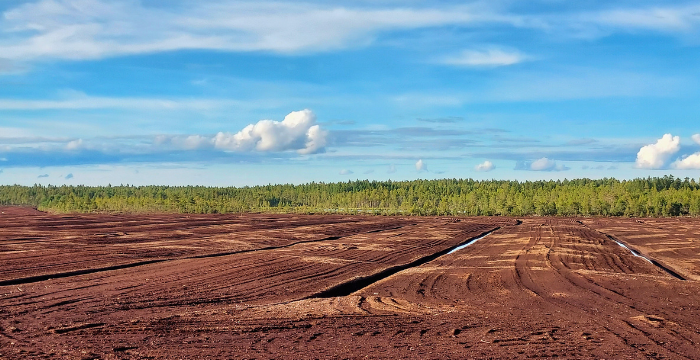 Maisema turvesuolta, jossa ruskeaa turvemaata ojineen lähes silmänkantamattomiin. taustalla metsää ja sininen taivas.